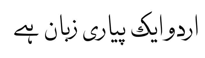 Nafees Naskh v2.01 free urdu font sample image