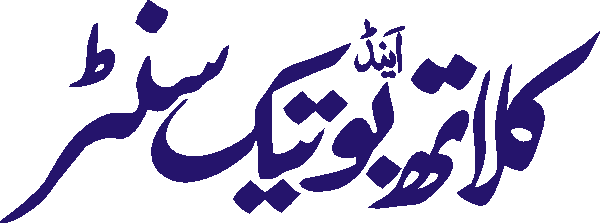 undefined free urdu font sample image