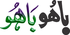 Bahu