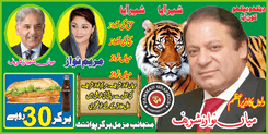 Noon league poster editable file cdr ai