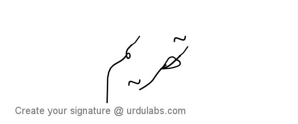 Urdu Hand Drawn Signature of Tehreem